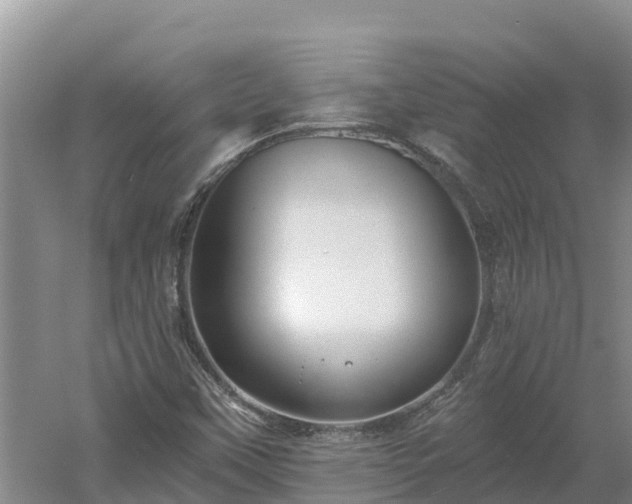 X0000060561451200511101551