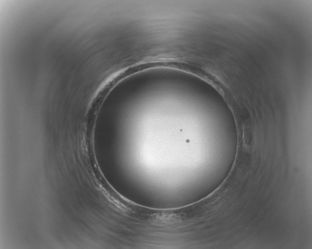 X0000060561452200511101551