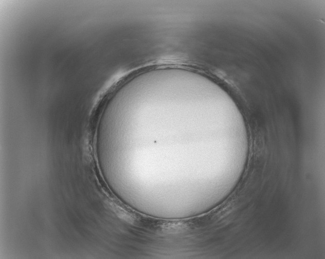 X0000060561454200511101551