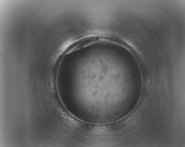 X0000060561455200511101551