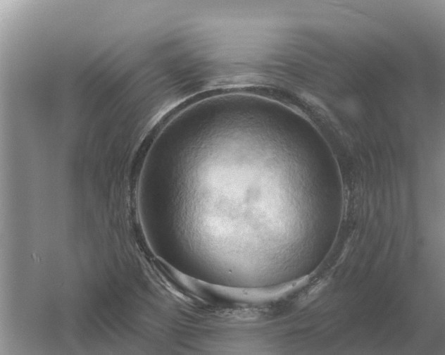 X0000060561457200511101551