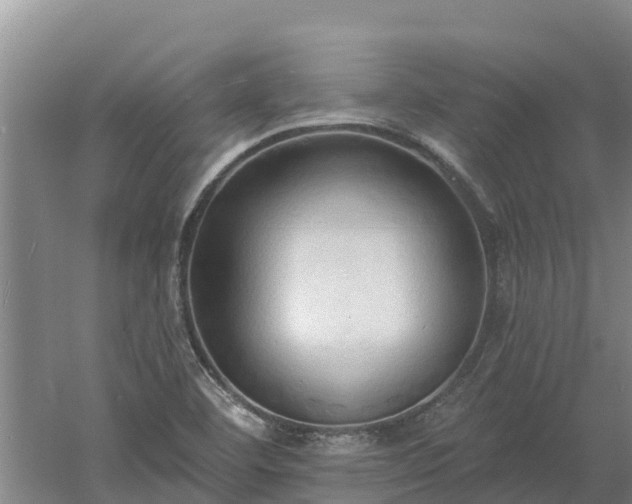 X0000060561460200511101551