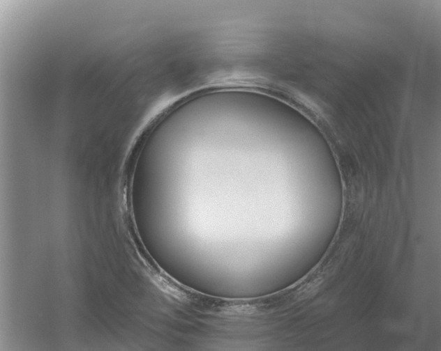 X0000060561462200511101551