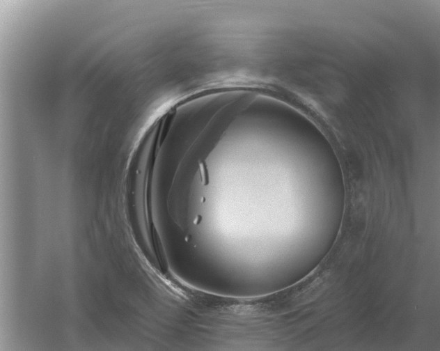 X0000060561463200511101551