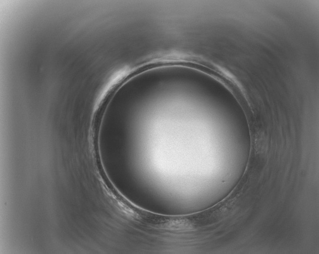 X0000060561464200511101551