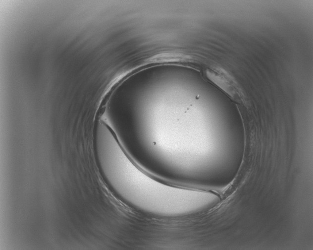 X0000060561465200511101551