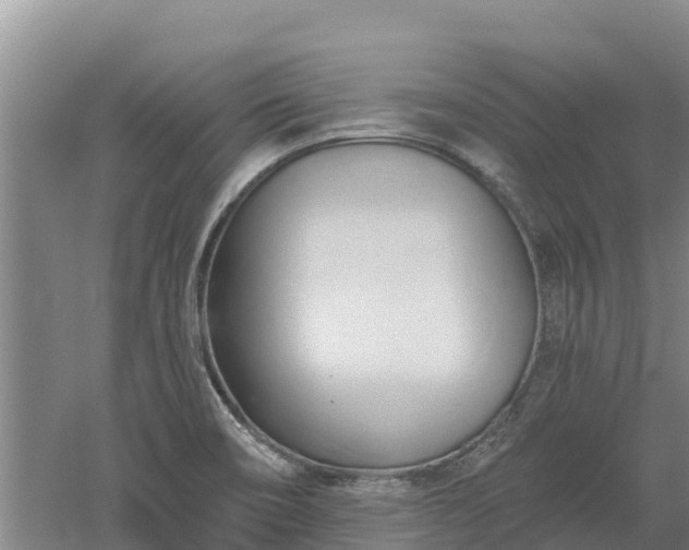 X0000060561466200511101551