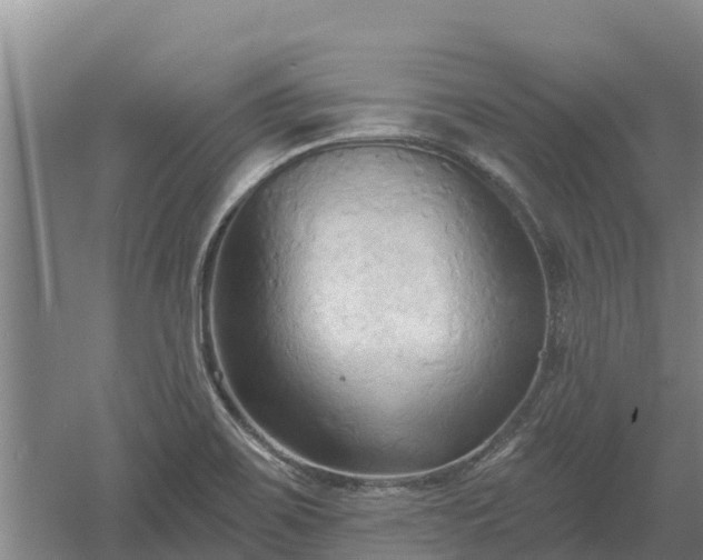 X0000060561467200511101551