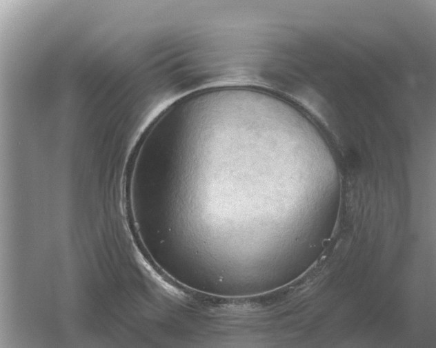 X0000060561468200511101551