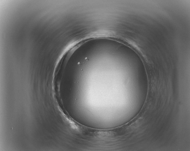 X0000060561469200511101550