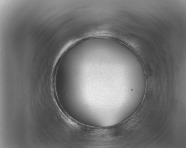 X0000060561470200511101550