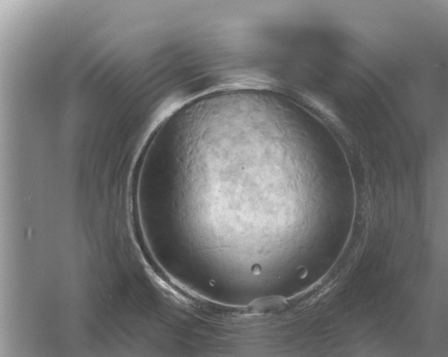 X0000060561471200511101550