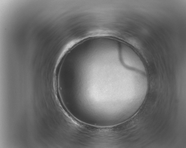 X0000060561472200511101550