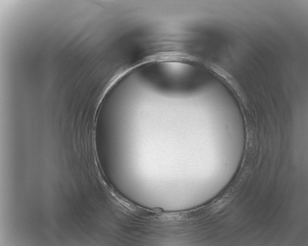 X0000060561473200511101550