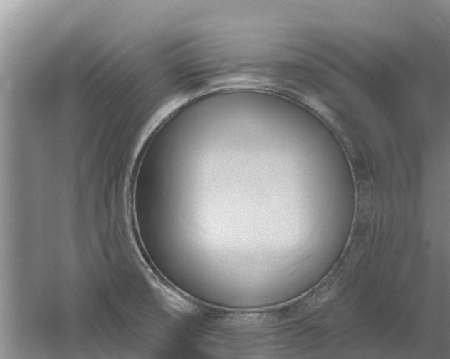 X0000060561474200511101550