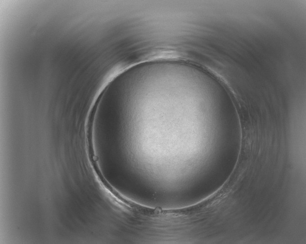 X0000060561475200511101550