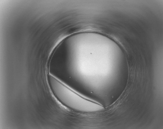 X0000060561476200511101550