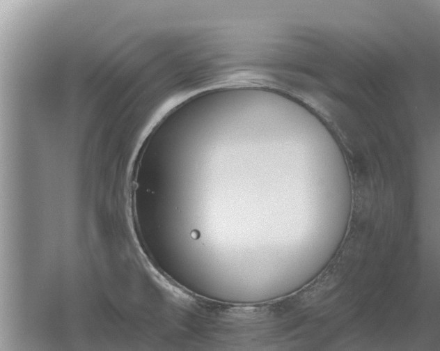 X0000060561478200511101550