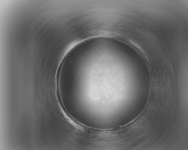 X0000060561479200511101550