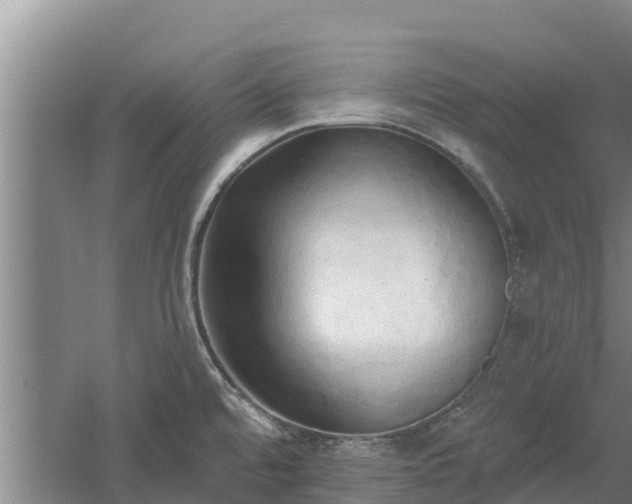 X0000060561480200511101550