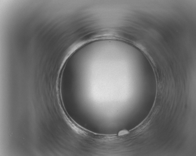 X0000060561482200511101550