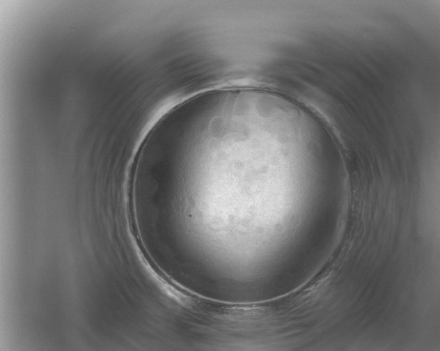 X0000060561483200511101550