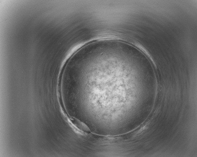 X0000060561485200511101550