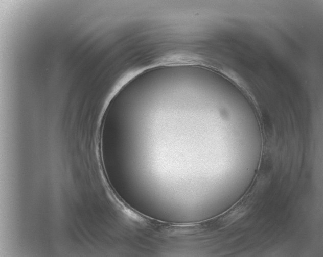 X0000060561486200511101550