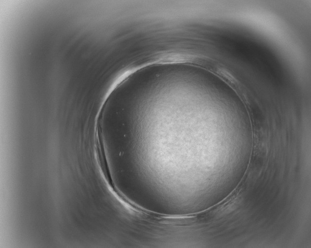 X0000060561487200511101550