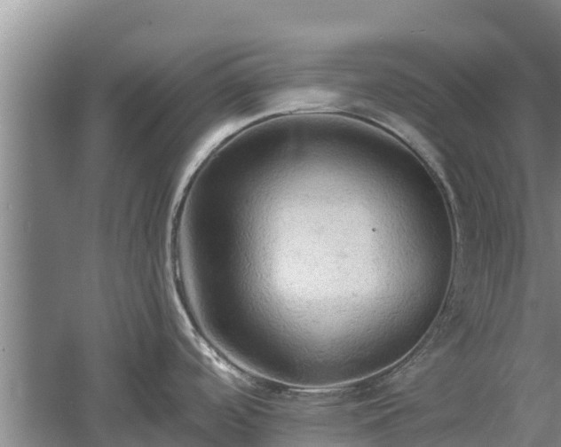 X0000060561488200511101550