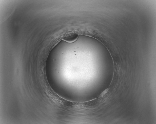 X0000060561489200511101549