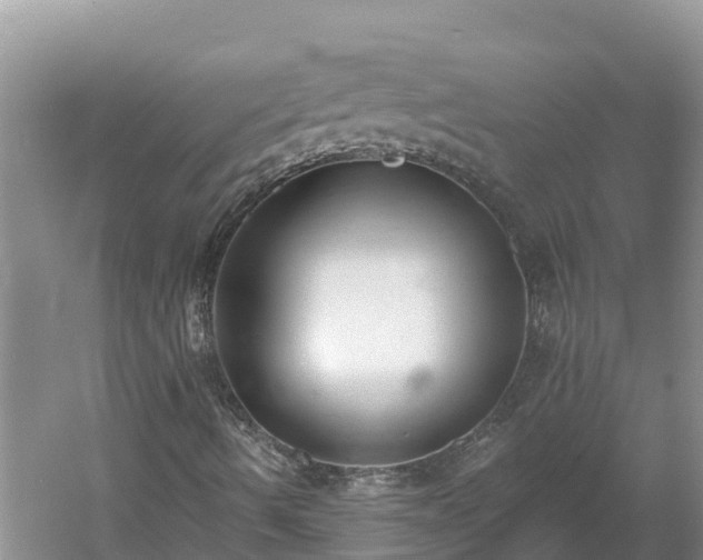 X0000060561490200511101549