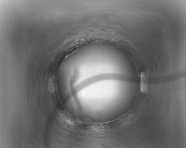 X0000060561491200511101549