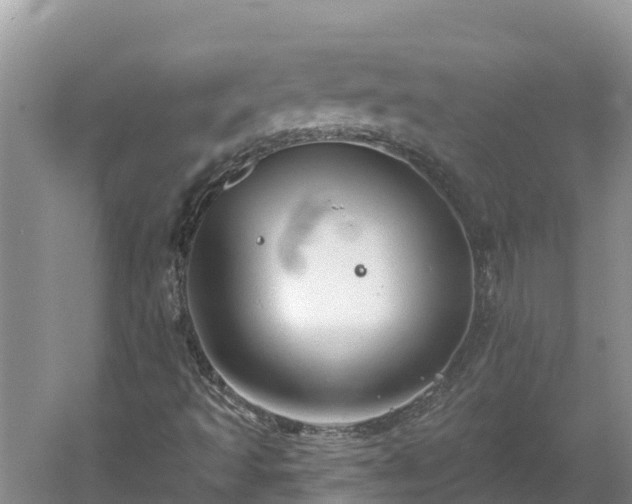 X0000060561493200511101549