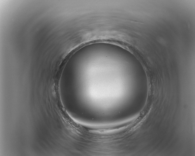 X0000060561497200511101549