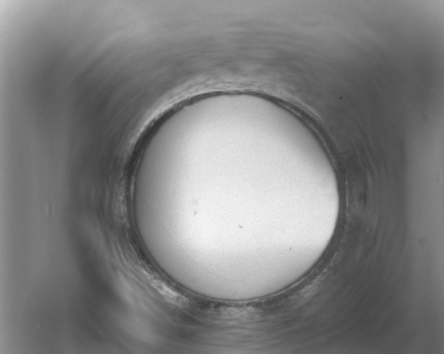 X0000060561498200511101550