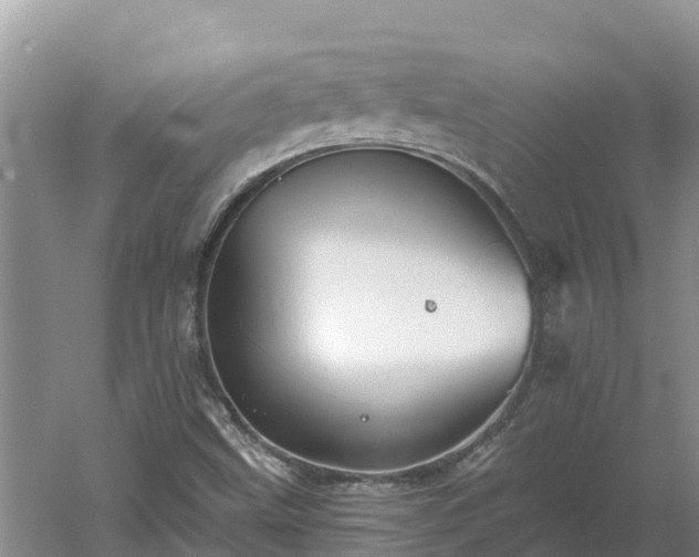 X0000060561499200511101550