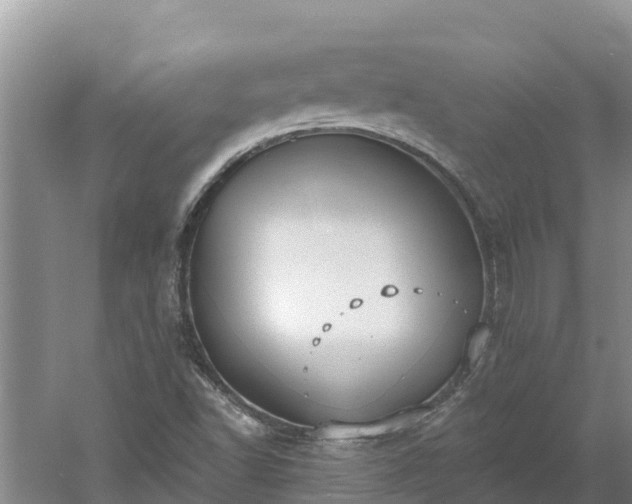 X0000060561502200511101550