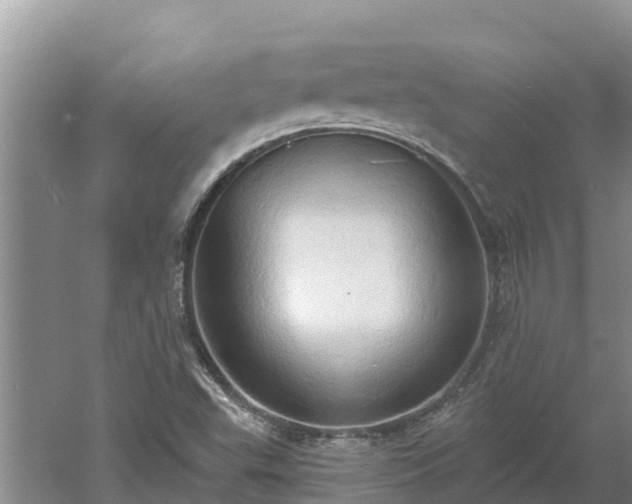 X0000060561503200511101550