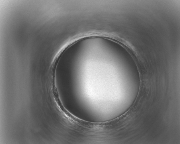 X0000060561504200511101550