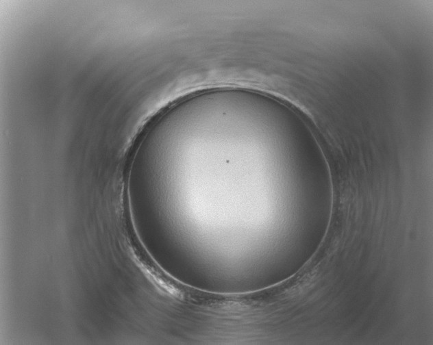 X0000060561507200511101550