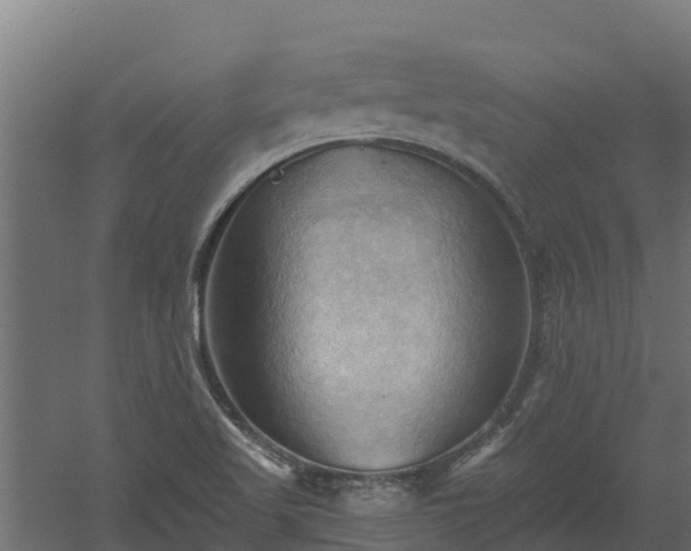 X0000060561509200511101550