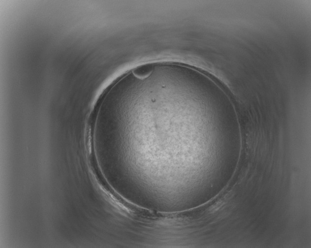 X0000060561510200511101550