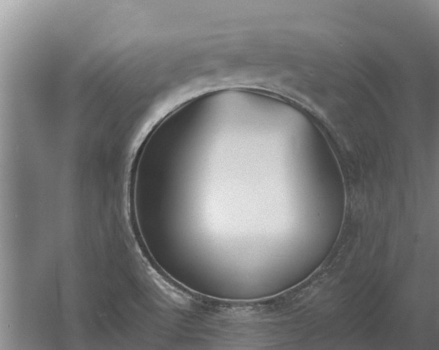 X0000060561512200511101550