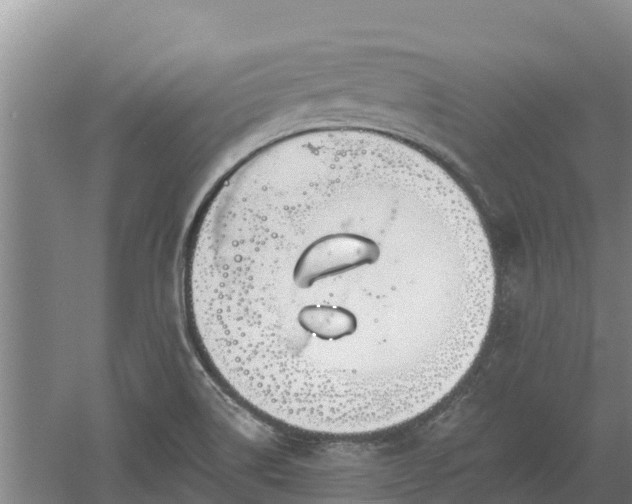 X0000060561514200511101550