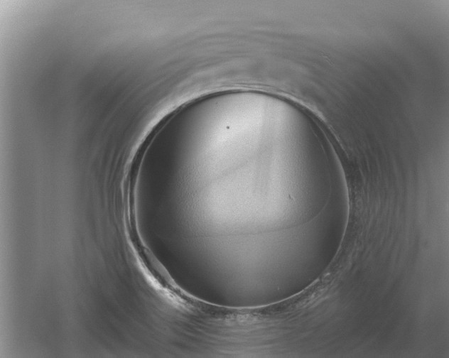 X0000060561515200511101550