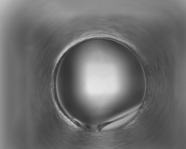 X0000060561518200511101550