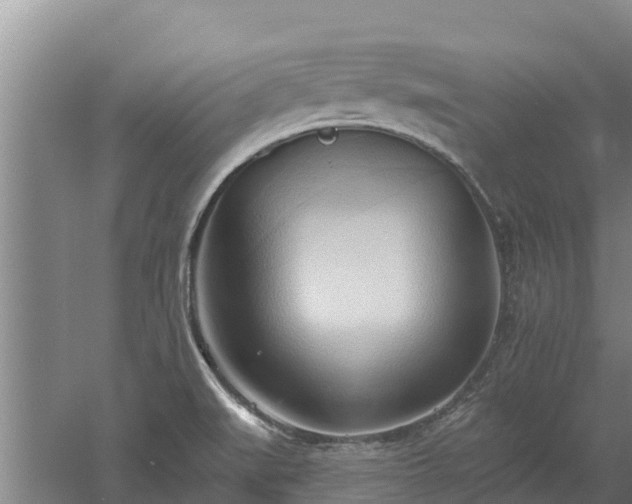 X0000060561519200511101550