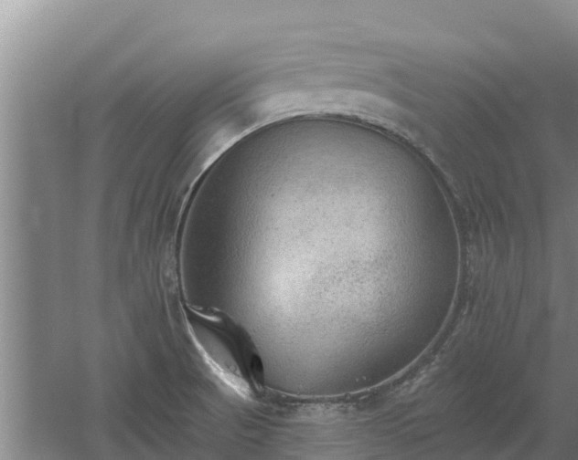 X0000060561521200511101550