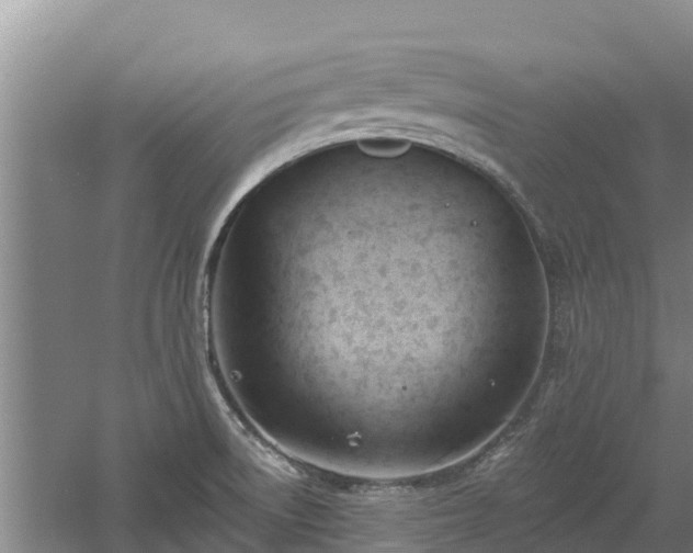 X0000060561522200511101550